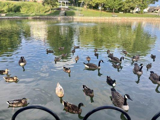 Photo of Angeline P.