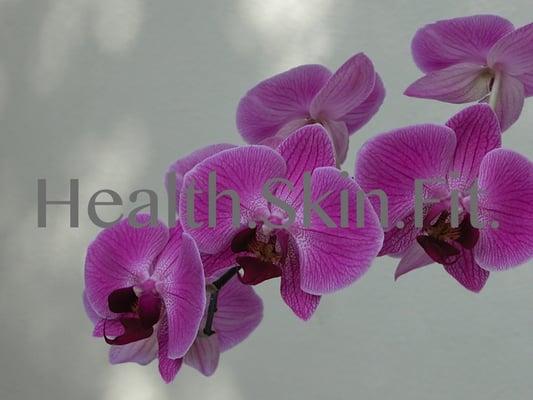 photo of Christine L.