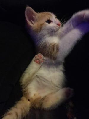 Photo of Brittany C.