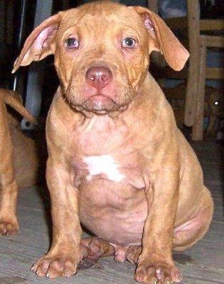Photo of Bohdi B.