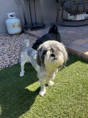 photo of Michelle T.