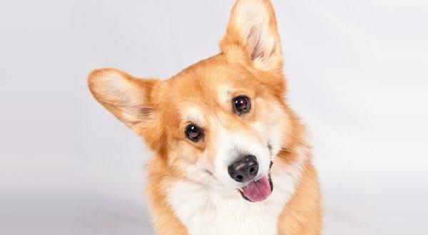 Photo of Bernie M.