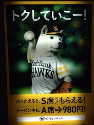 photo of Lawrence Y.