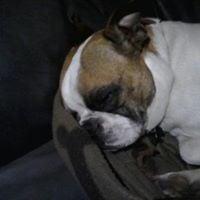 photo of Raileigh L.