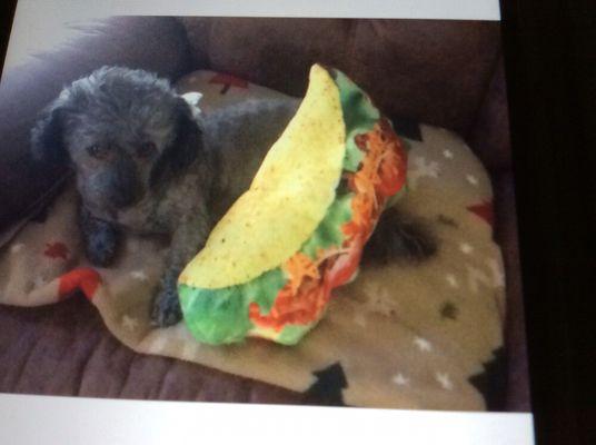 photo of Babyruth D.