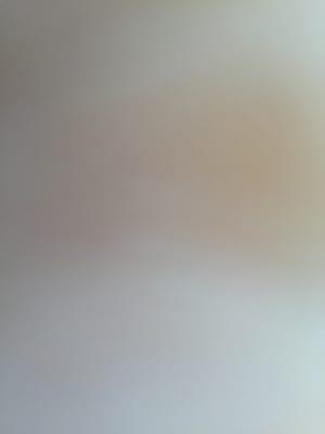 Photo of Sarah M.