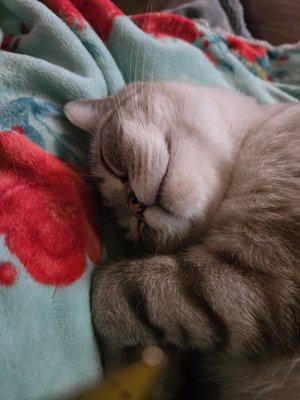 photo of Ellagrace W.