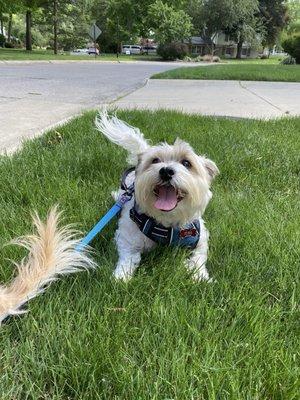 photo of Christine S.