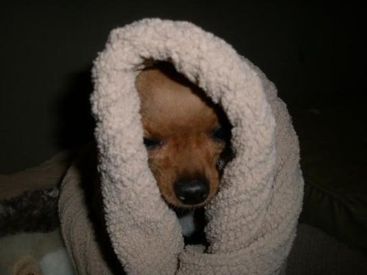 Photo of The Sock S.