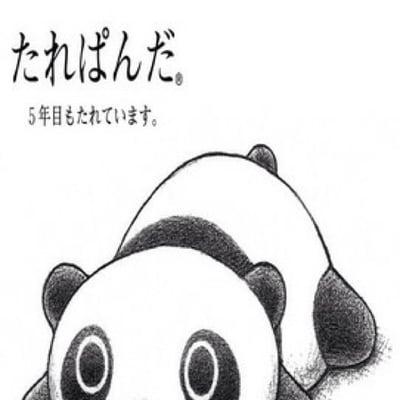 Photo of Yin L.