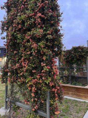 photo of Patricia M.