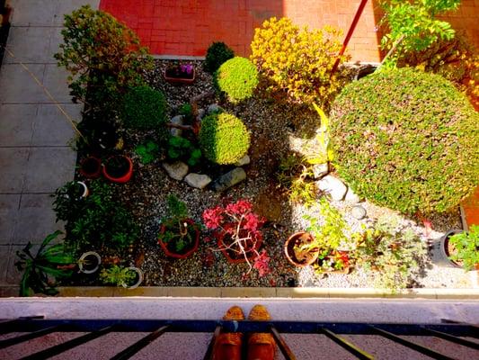 photo of Trenderlene H.