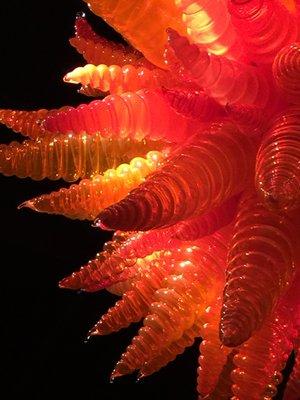 photo of Marianne C.