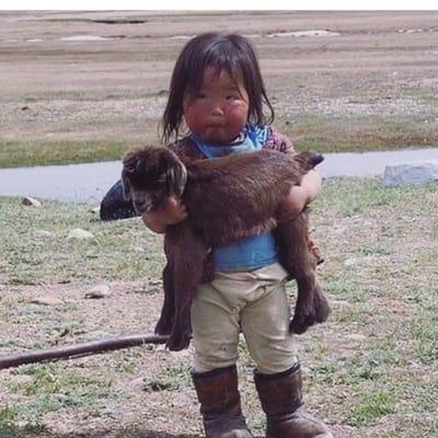 photo of Shohsanam S.