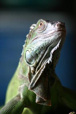 Photo of Stefanie S.