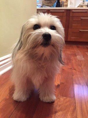 photo of Charlene M.