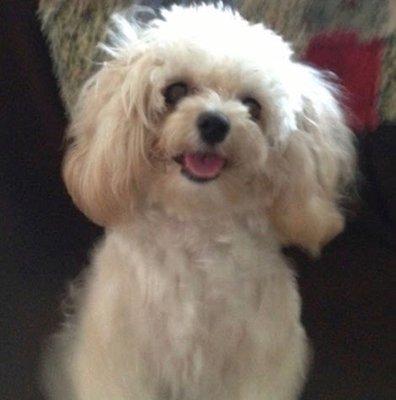 photo of Ken And Marge B.