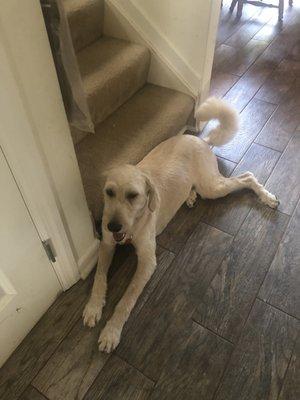 photo of Fortnite K.