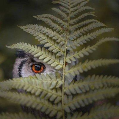 photo of RickandSue M.