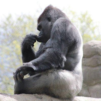 photo of Christine P.