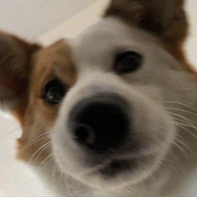 photo of Kimberly L.