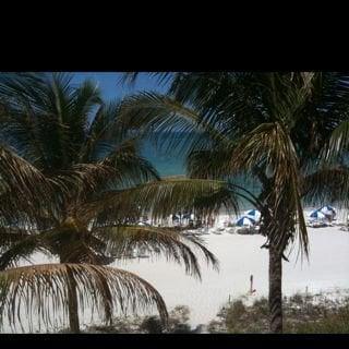 photo of Lorraine B.