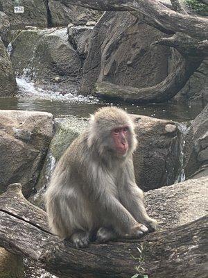 Photo of Rachel L.