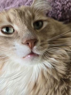 photo of Christina S.