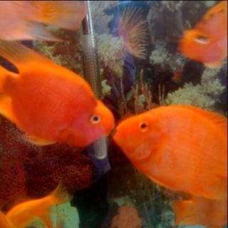 photo of Christopher G.