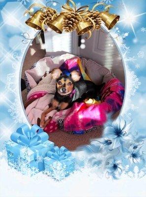 photo of Lorraine G.