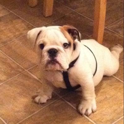 photo of Christopher S.