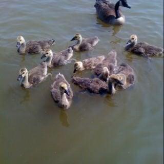 Photo of Jennifer T.