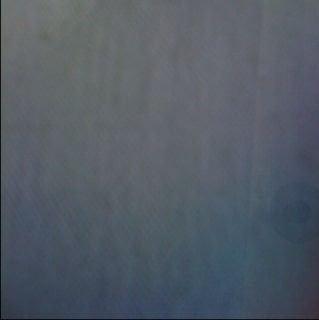 Photo of Milad M.