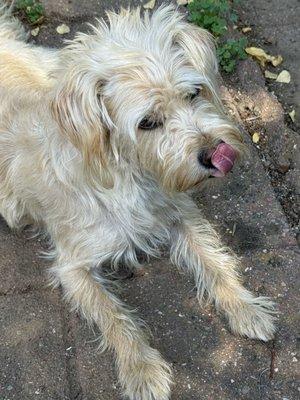 photo of Ji Choon C.