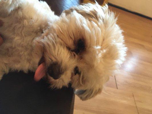 photo of Lilliana M.