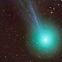 photo of Serefina B.