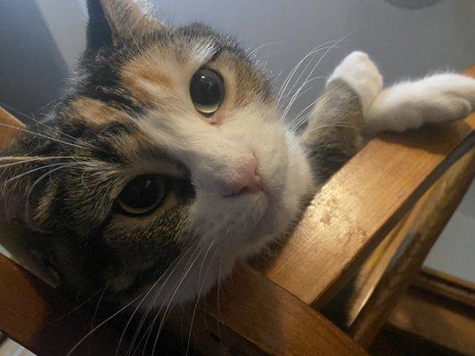 Photo of Milla B.