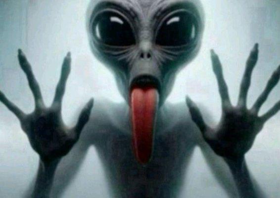 photo of Samantha S.