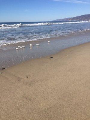 photo of Michelle G.