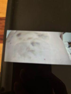 photo of Elizabeth S.