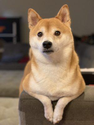 Photo of Mitch O.