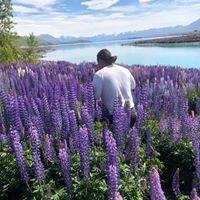 Photo of Tristan N.