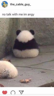 photo of Brittany C.