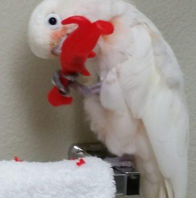 Photo of Cindy M.