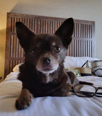 photo of Christina P.