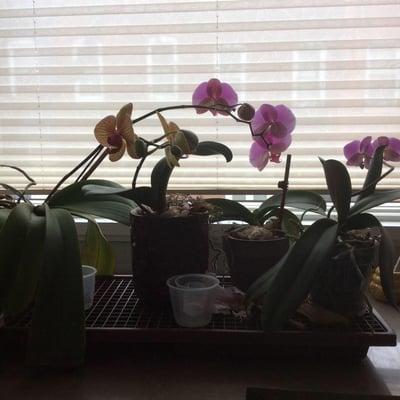 Photo of Debra O.