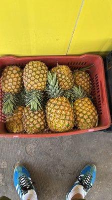 photo of Jorge P. G.