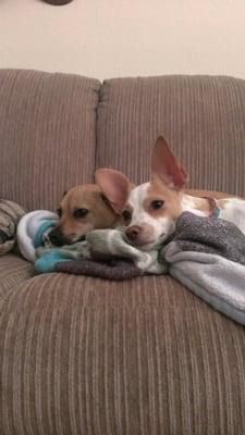 photo of Michelle A.