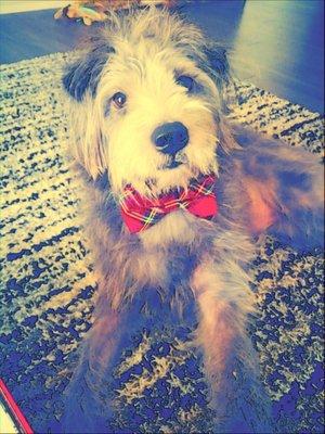 Photo of Indie W.