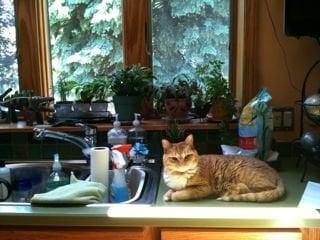 Photo of Susan C.